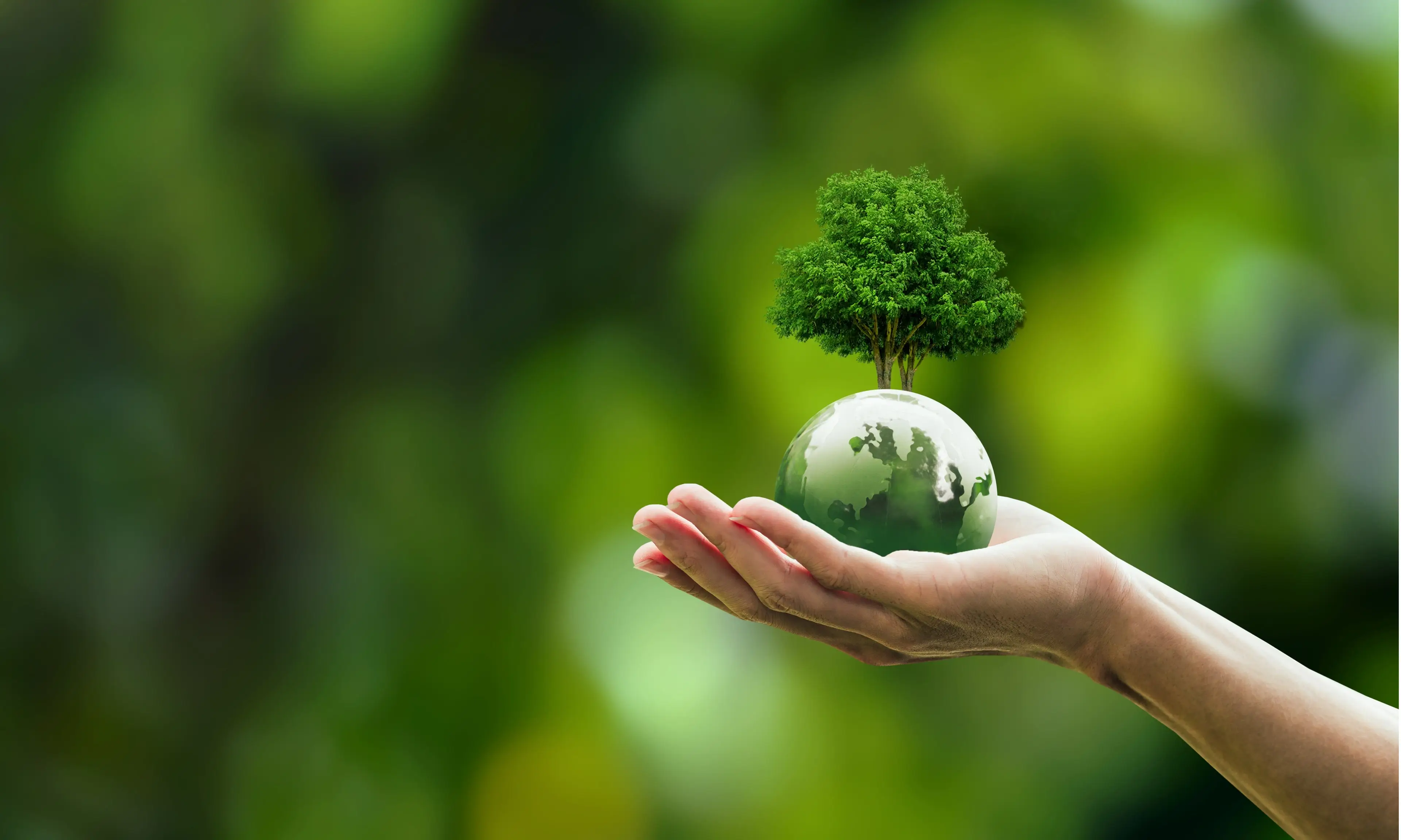 Gezegeni Korumak: Sürdürülebilir Üretim ve Tüketimin Önemi