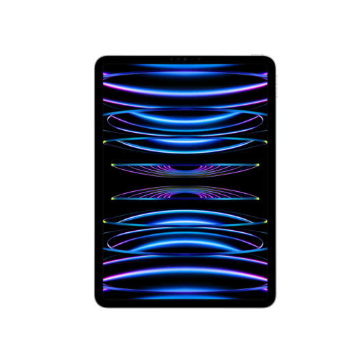 iPad Pro 11 (2022) WF 1TB Gümüş Tablet