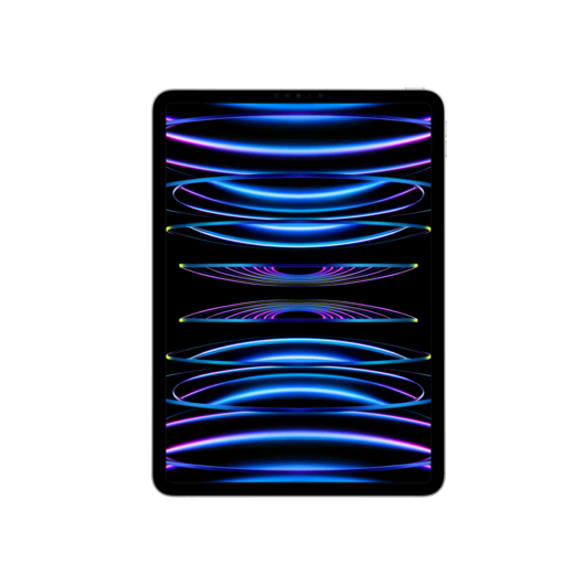 iPad Pro 11 (2022) WF 2TB Gümüş 