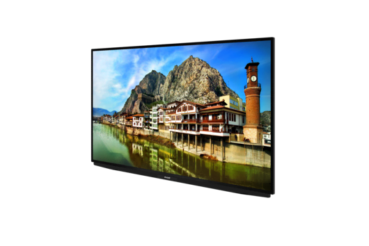 A55K 790G HOTEL TV LED & LCD TV