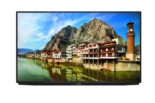 A65K 790G HOTEL TV LED & LCD TV